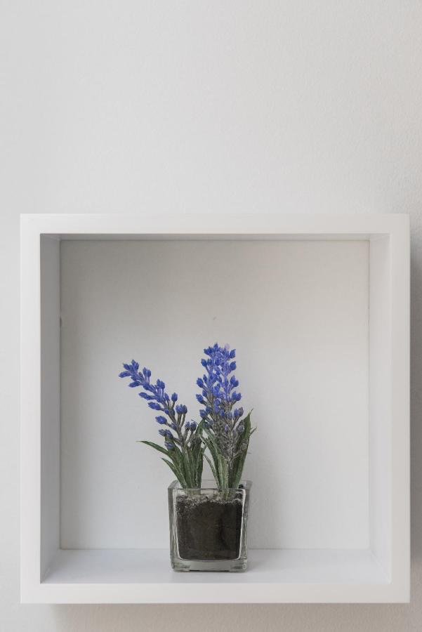 Studio Apartment Bilic Шибеник Екстер'єр фото